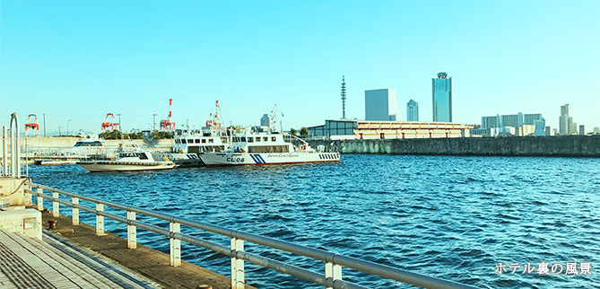 海
