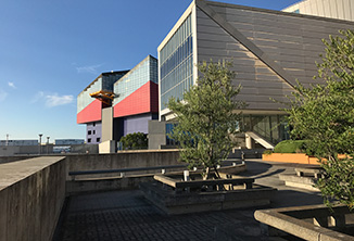 裏庭から海遊館が見えます